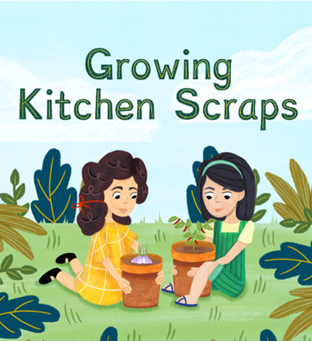 Growing Kitchen Scraps